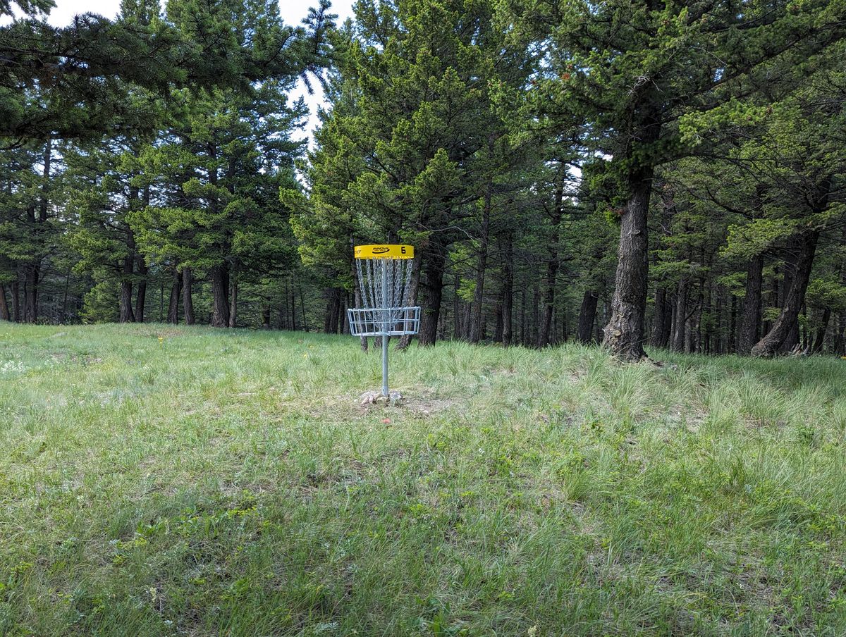 Green of 6