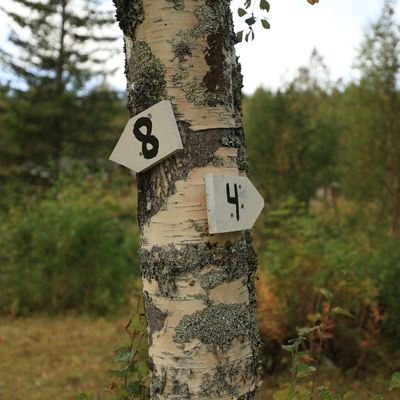 Bra skilting mellom baner