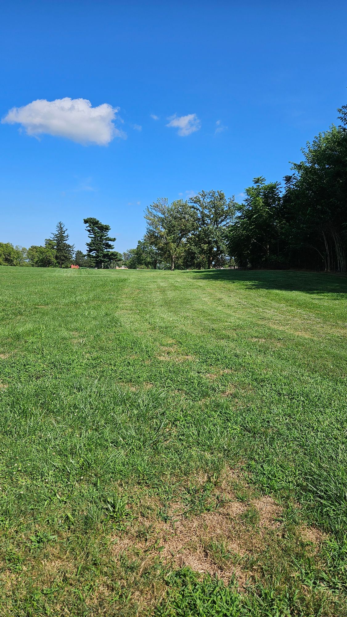 Hole 7 Tee