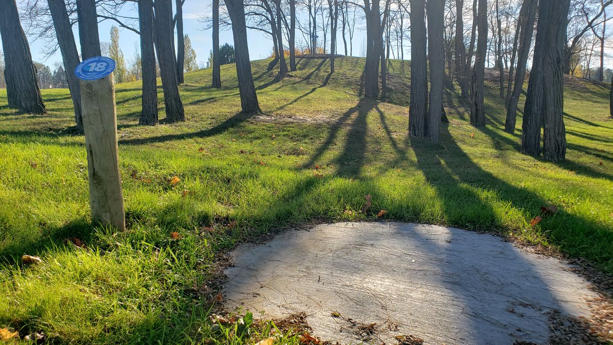 Tee 18