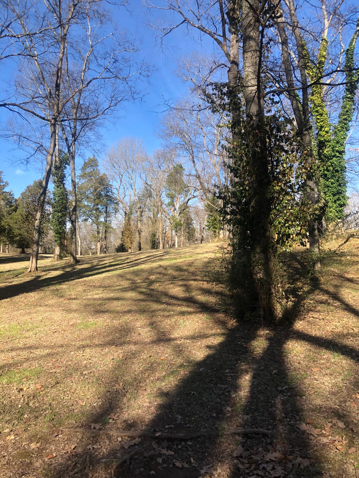 Hole 11