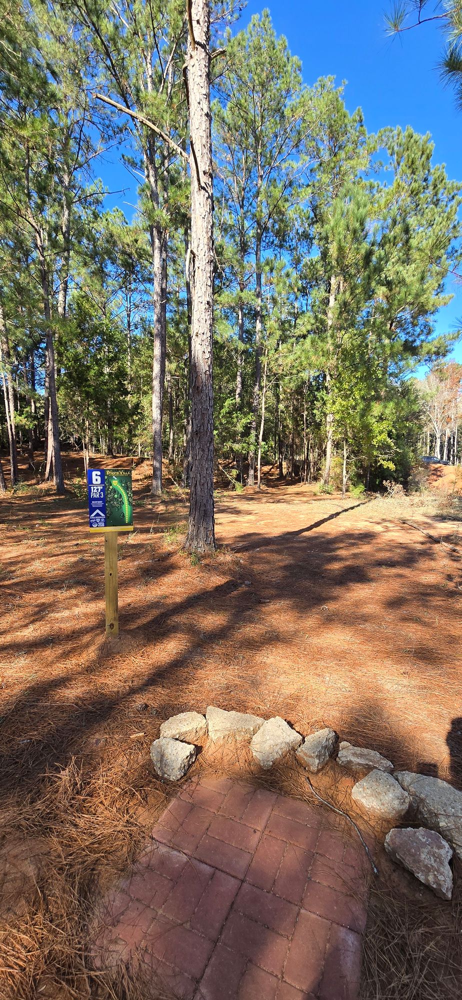 Hole 6