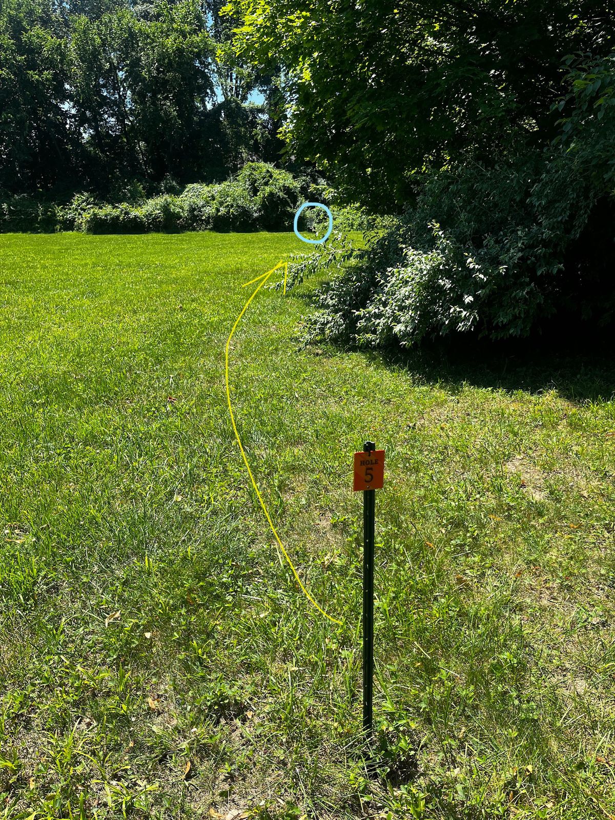 Hole 5. Back to the basket for hole 1. Careful of the OB to the right of the basket. Watch for thorns in the brush behind the basket.