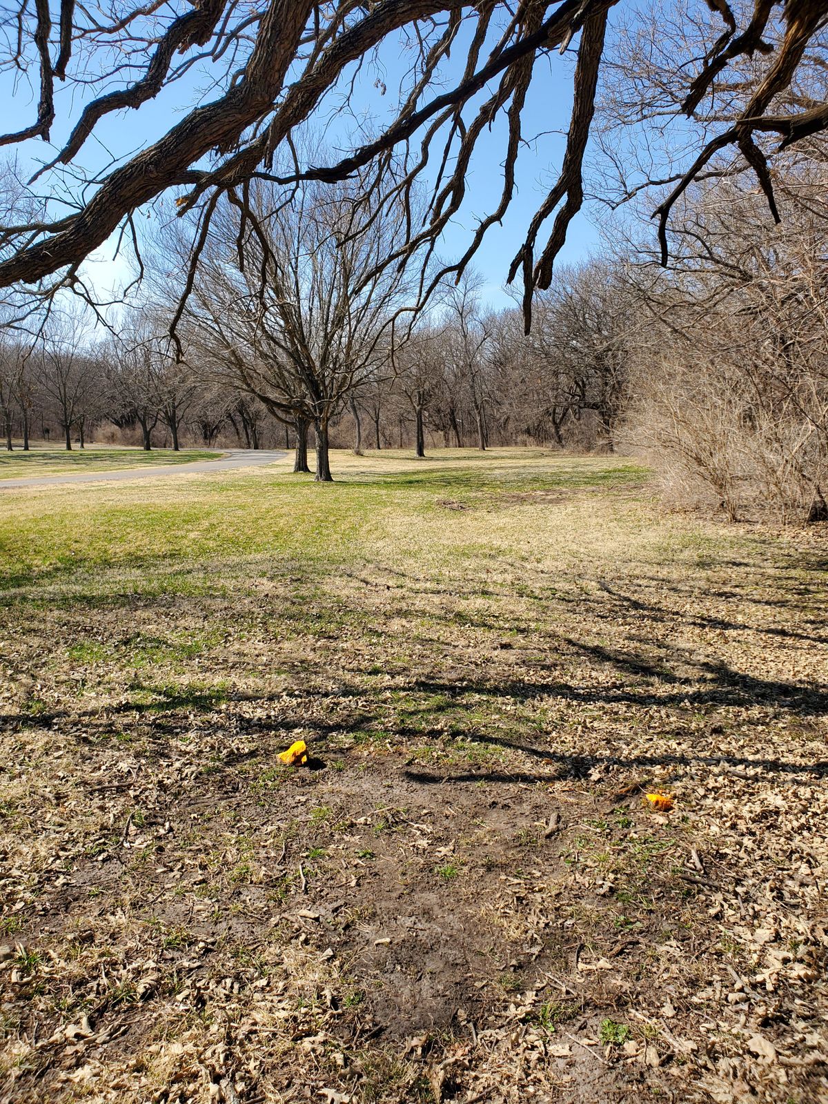 Hole 4