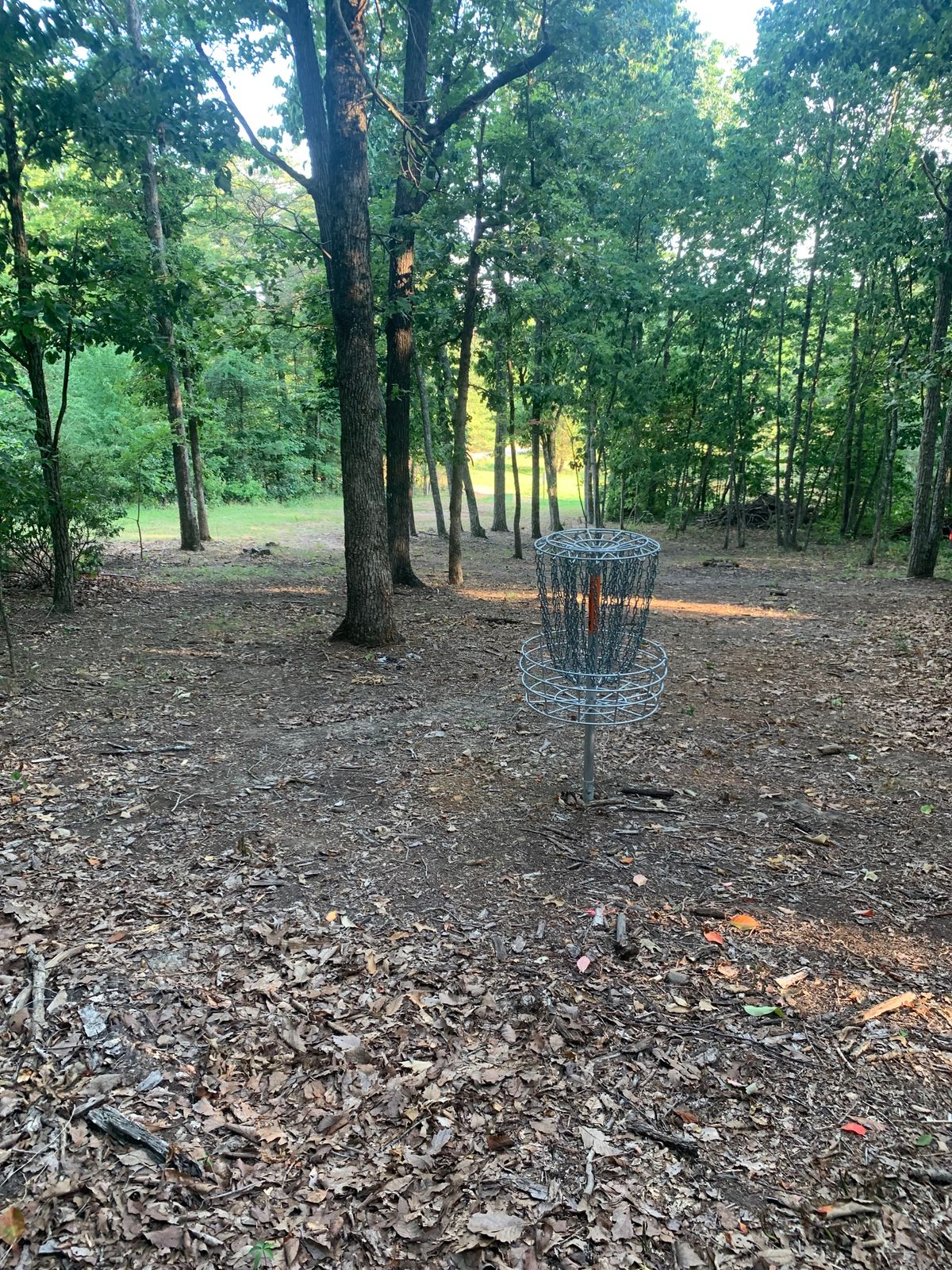 Hole #1 basket to tee, Par 3, 181 ft