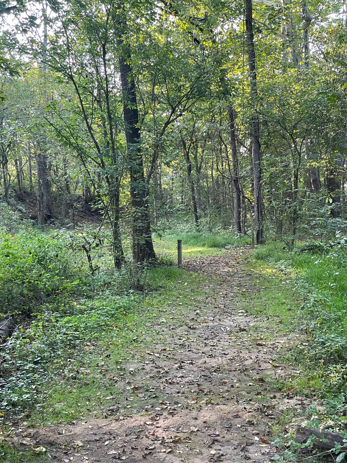 Hole 5, pin on the hill to the left
