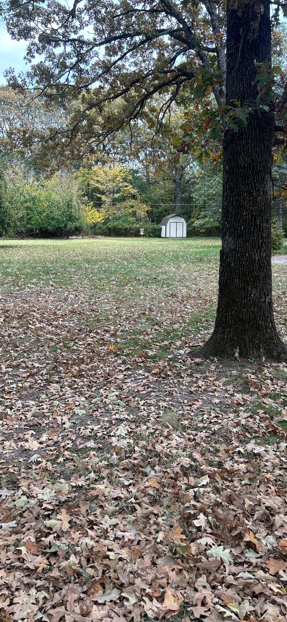 Harmony Oaks