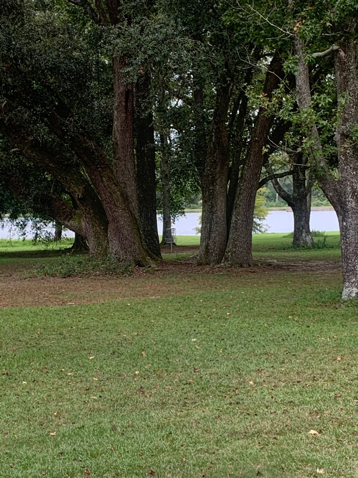 Nice tunnel off the tee!