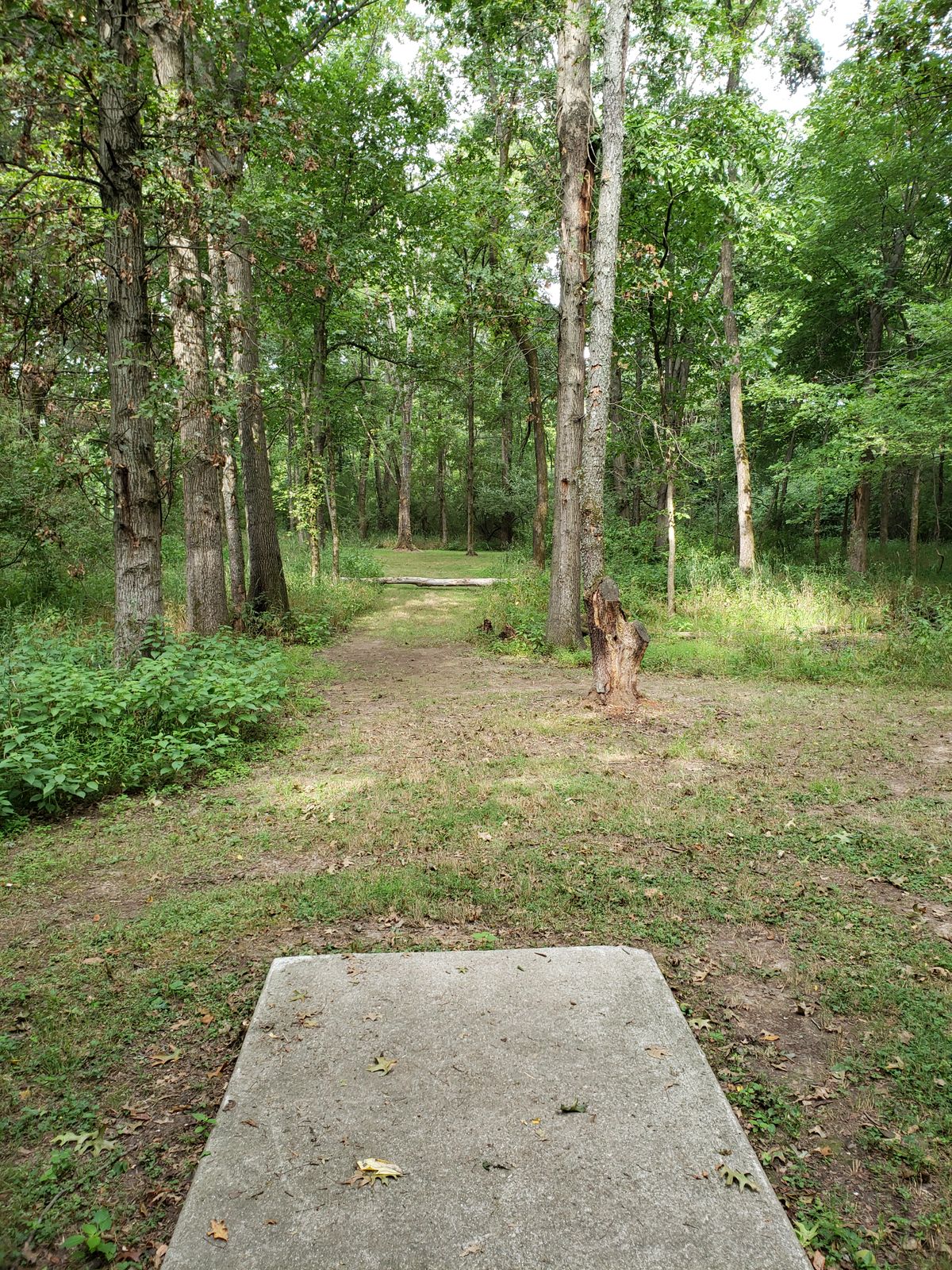 #8 Tee-Pad and Fairway