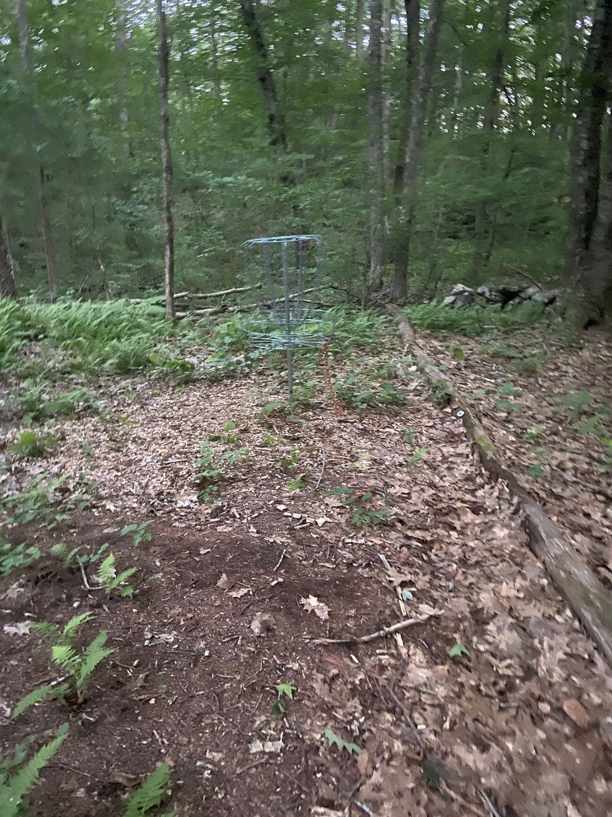 Hole 1 basket