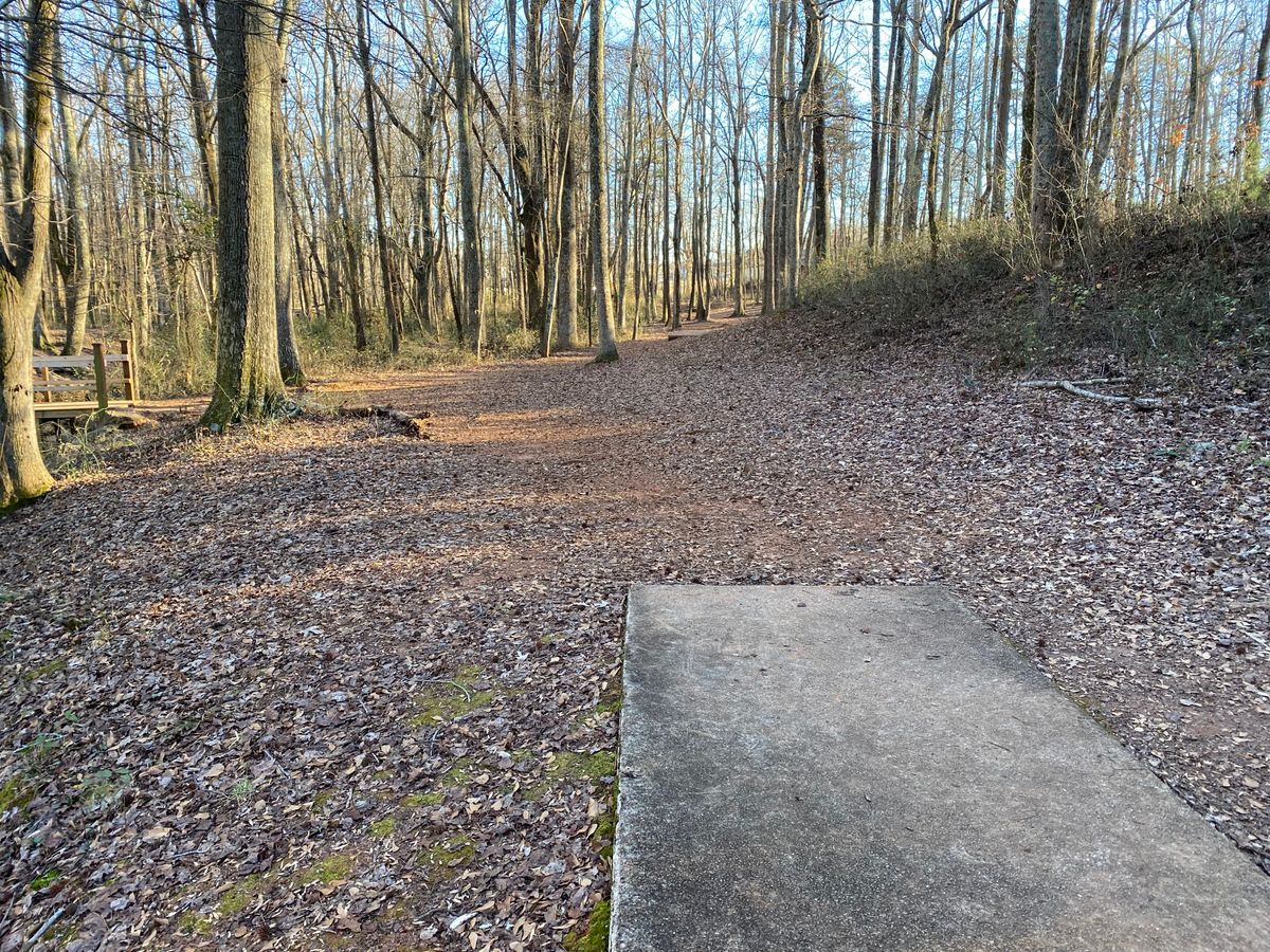Hole 4 long