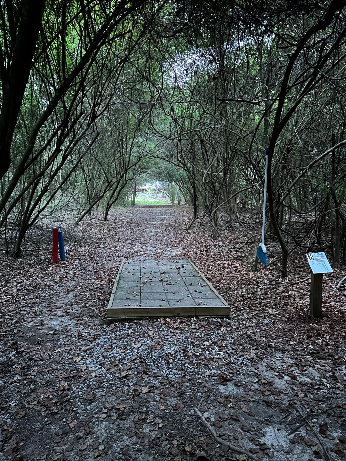 Hole 18 tee tunnel shot