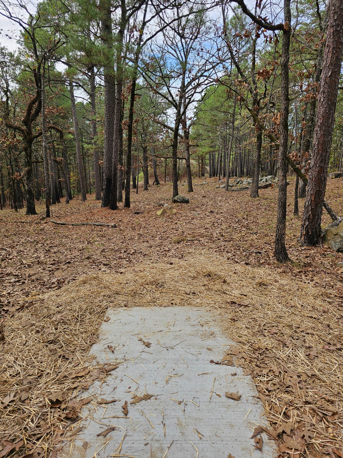 Hole 8