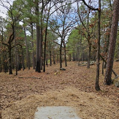 Hole 8