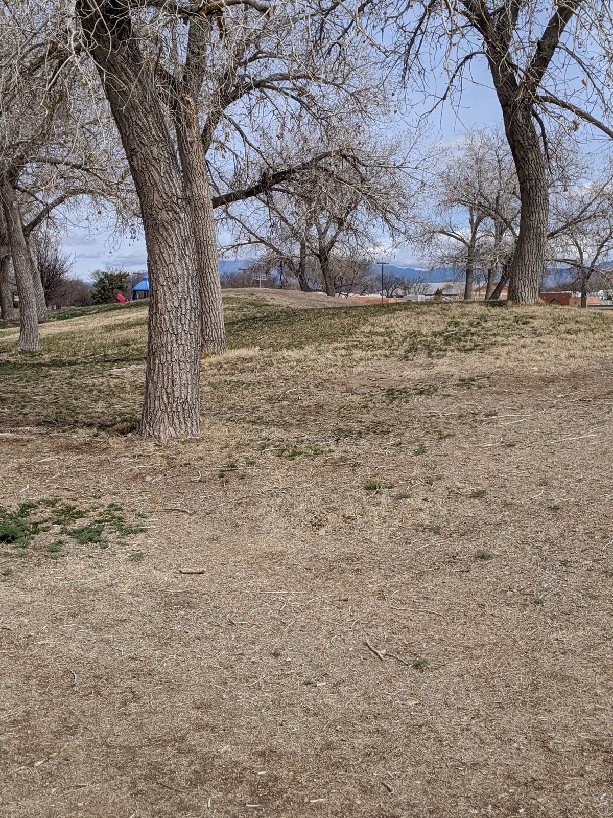 Hole 7