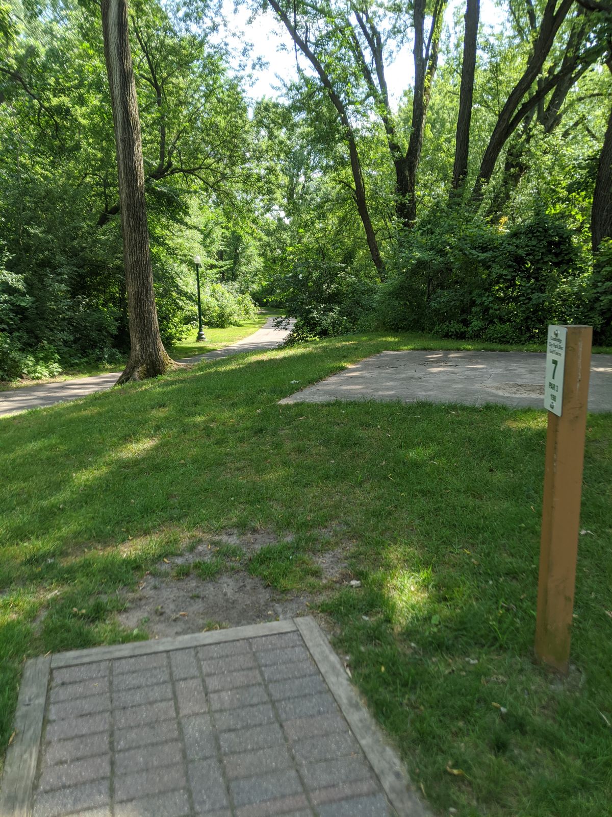 Hole 7 tee