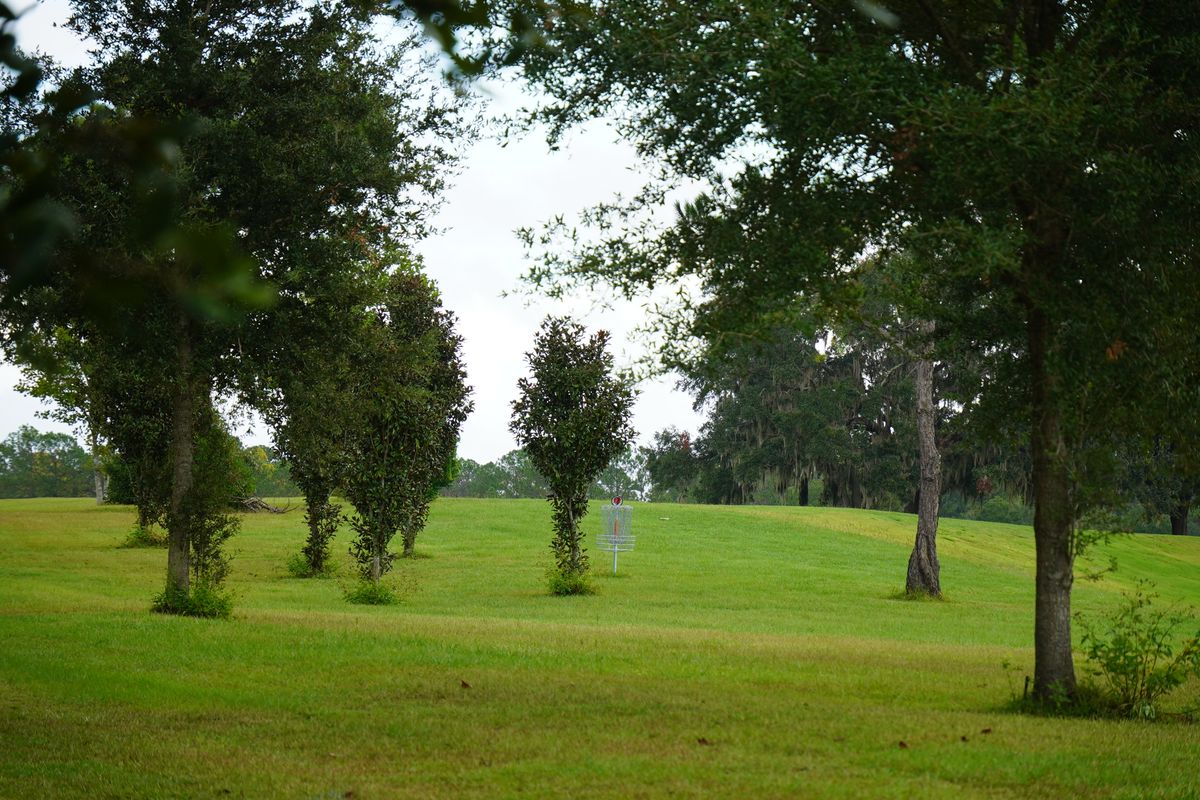 Hole 12’s beautiful green