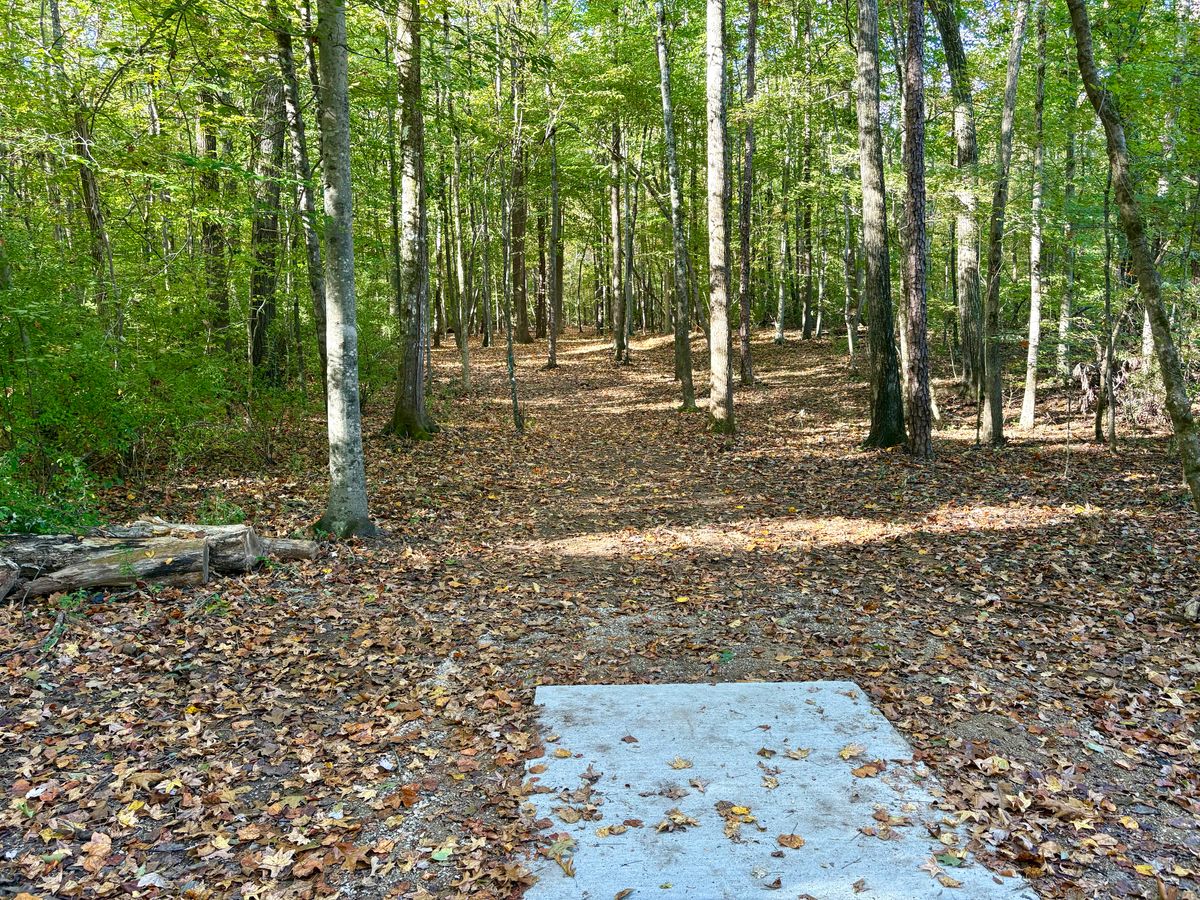 Hole 4 tee