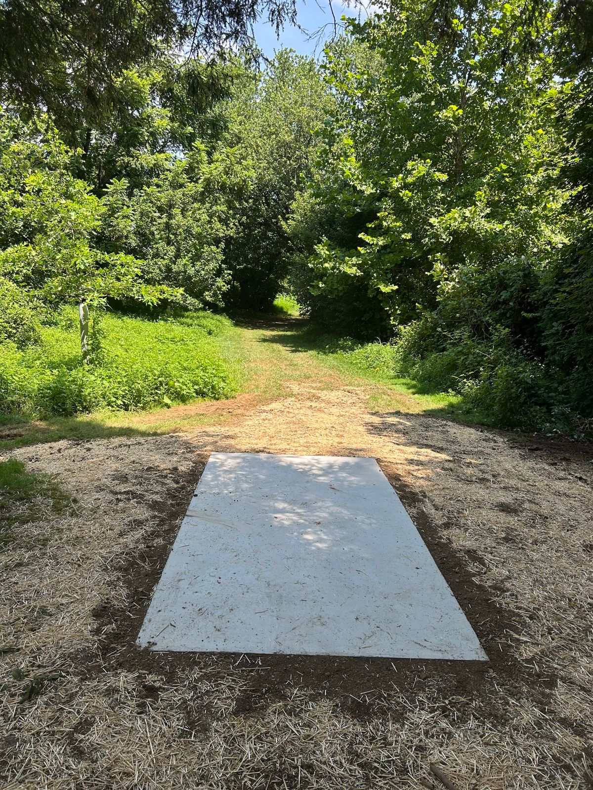 New concrete tee pad for hole #6
