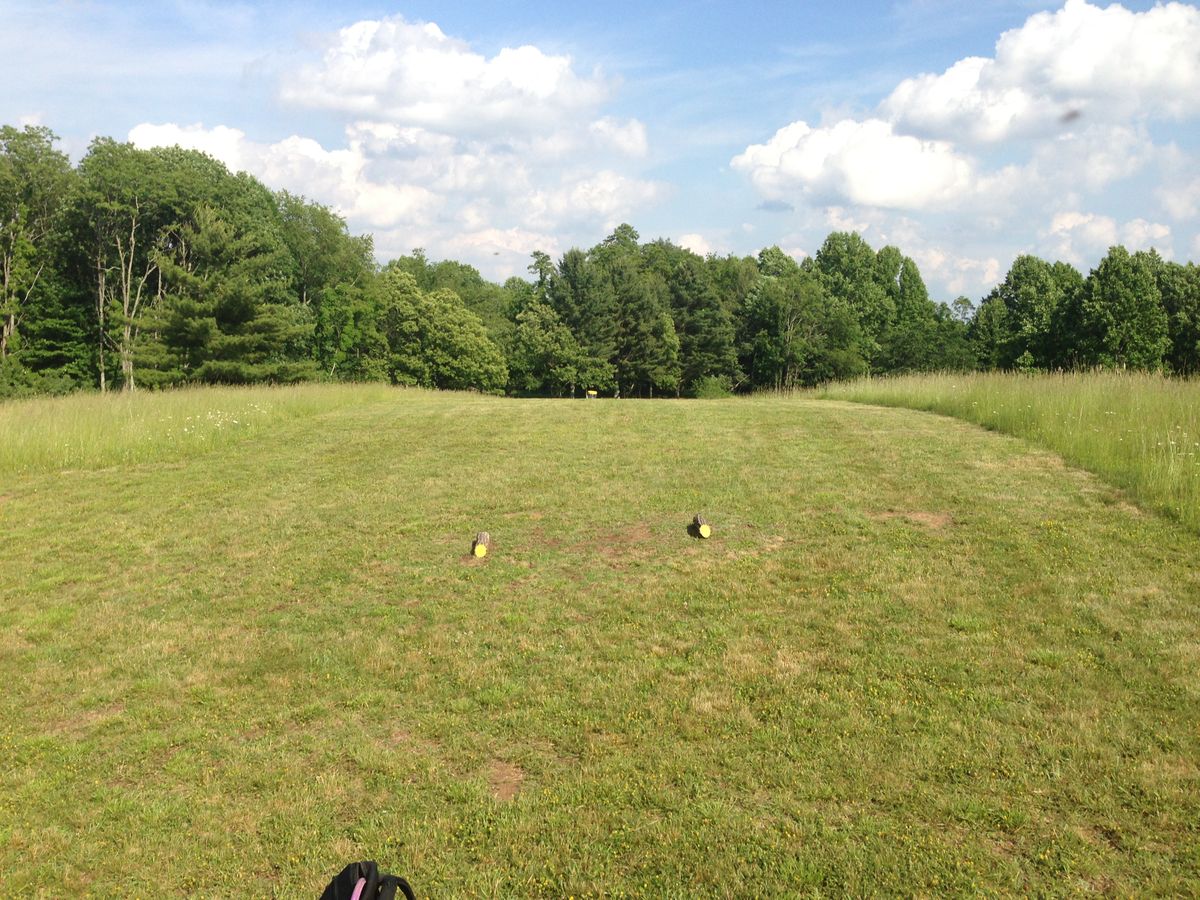 Hole 5