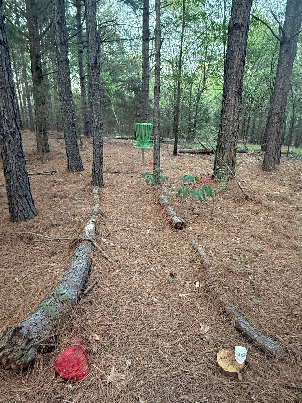 Hole 14 - Red