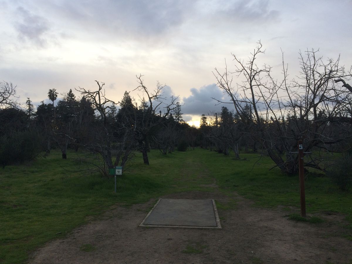 Hole 5