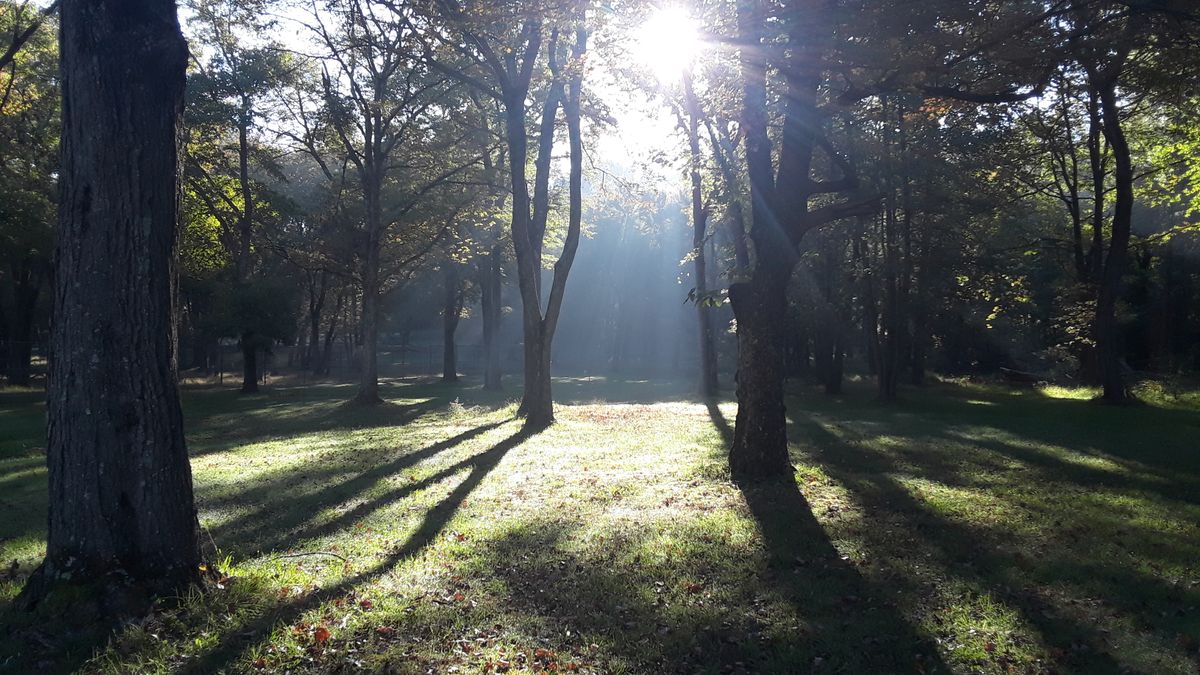 Hole 13 approach in the early morning sun