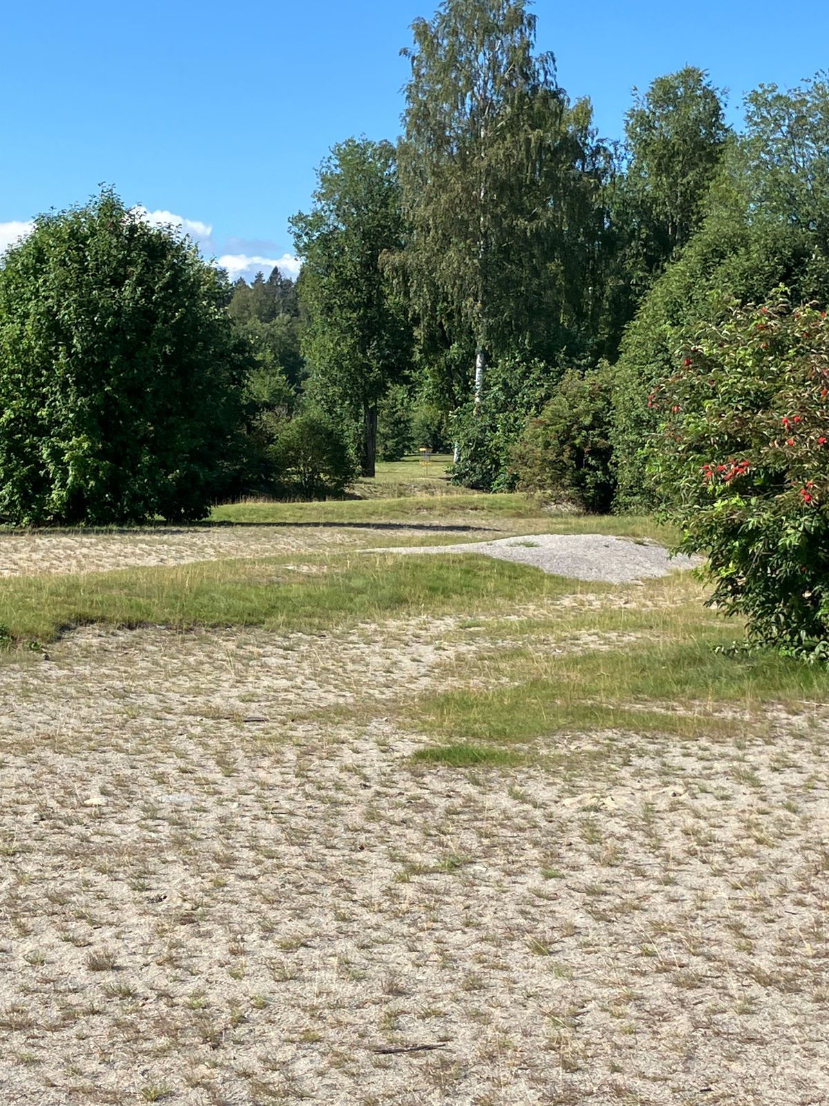 Hål 3, korta sweet spot