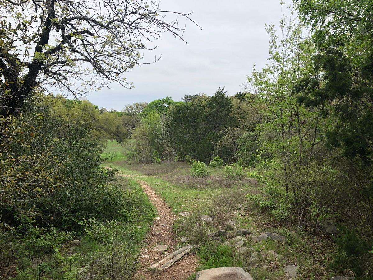 Hole 12. Pro tee, elevated. Basket down to right, tucked in tree line on far/left side. Over trees.