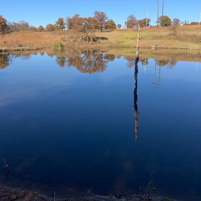 Pond over hole 15 blue.