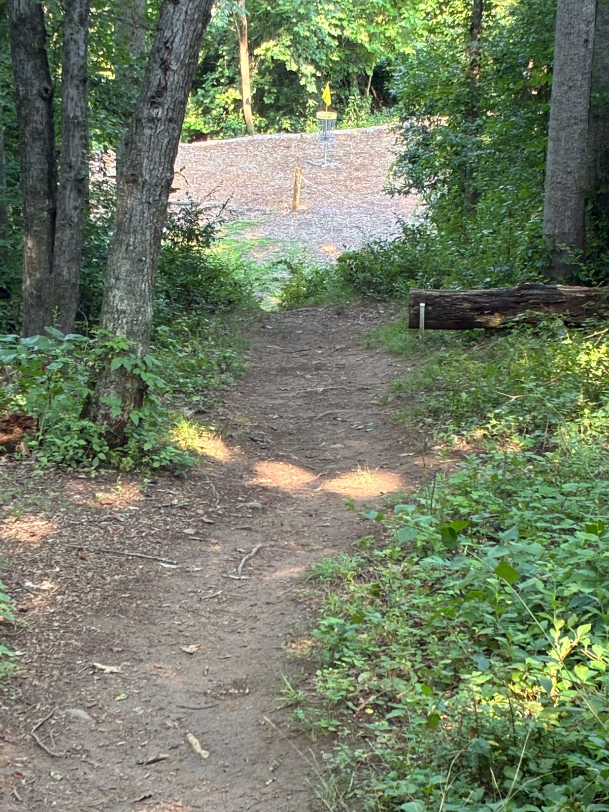 Hole 17