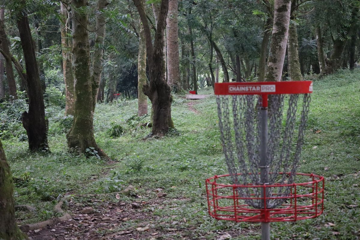 Hole 13 Basket