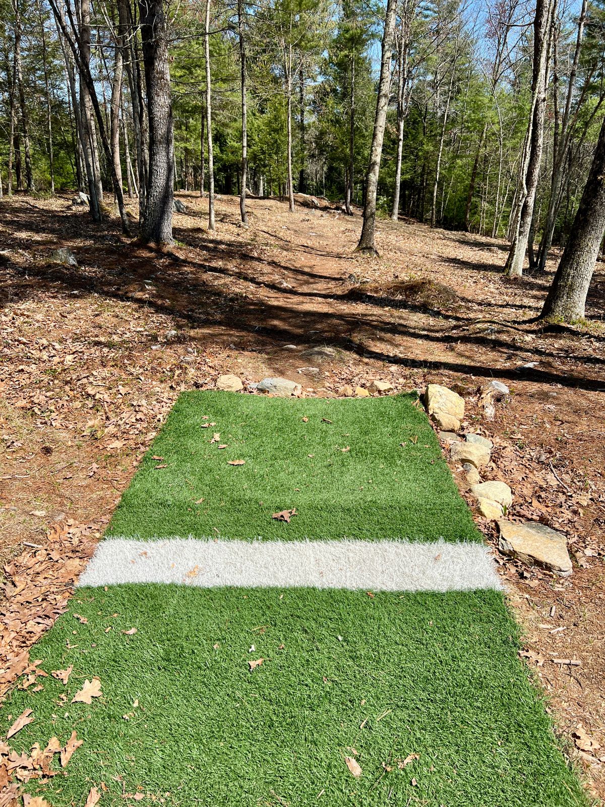 Tee Box Hole #15