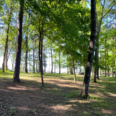 Hole 7 Tee