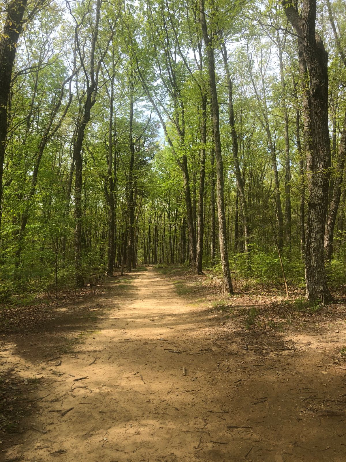 Hole 2