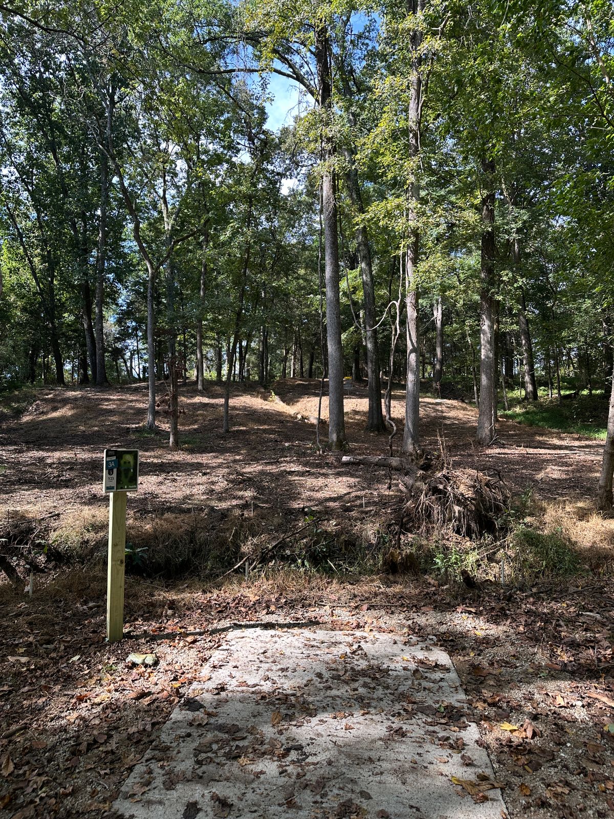 Hole 3 short tee.