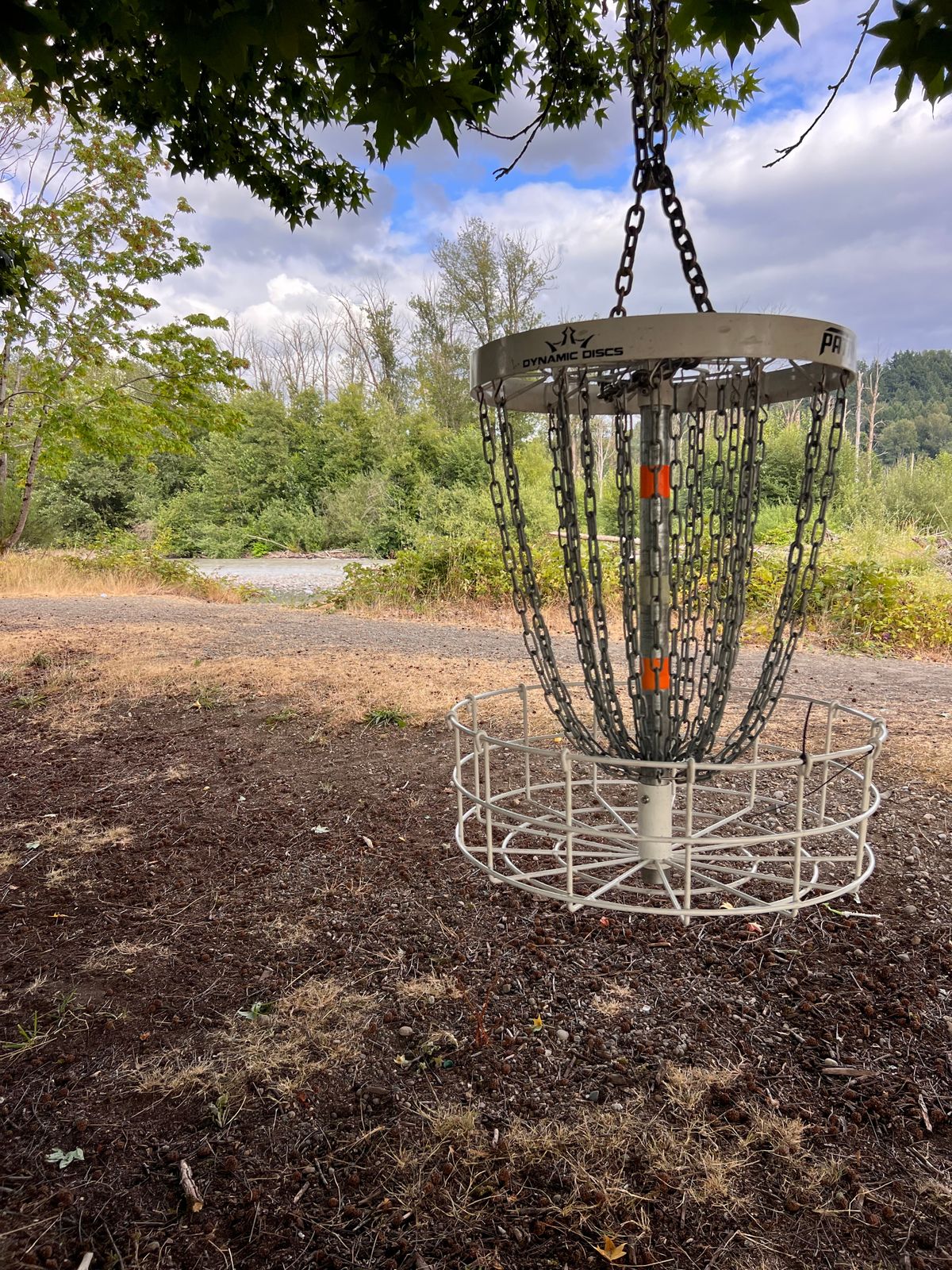 Hole 8 - hanging basket