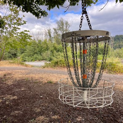 Hole 8 - hanging basket