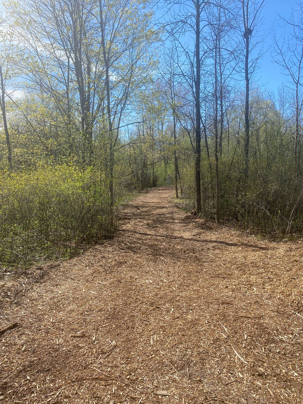 Hole 2 tee