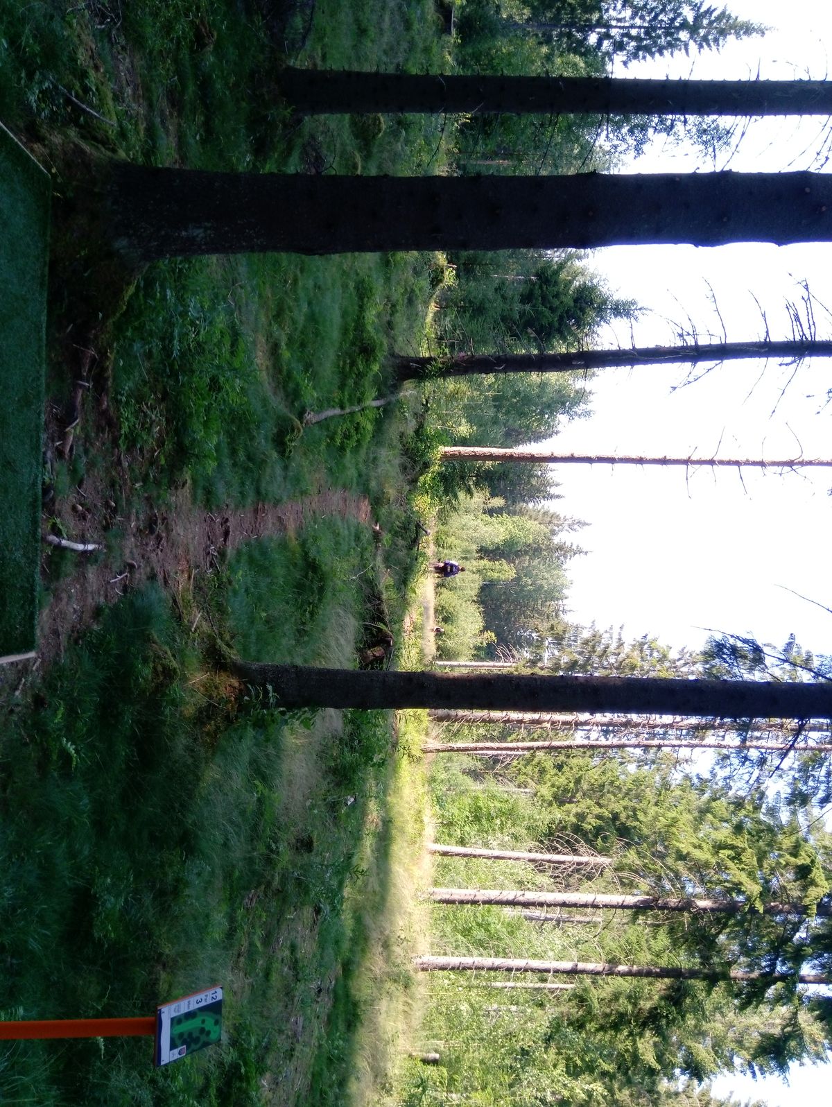 Hole #12 (21.7.2022).