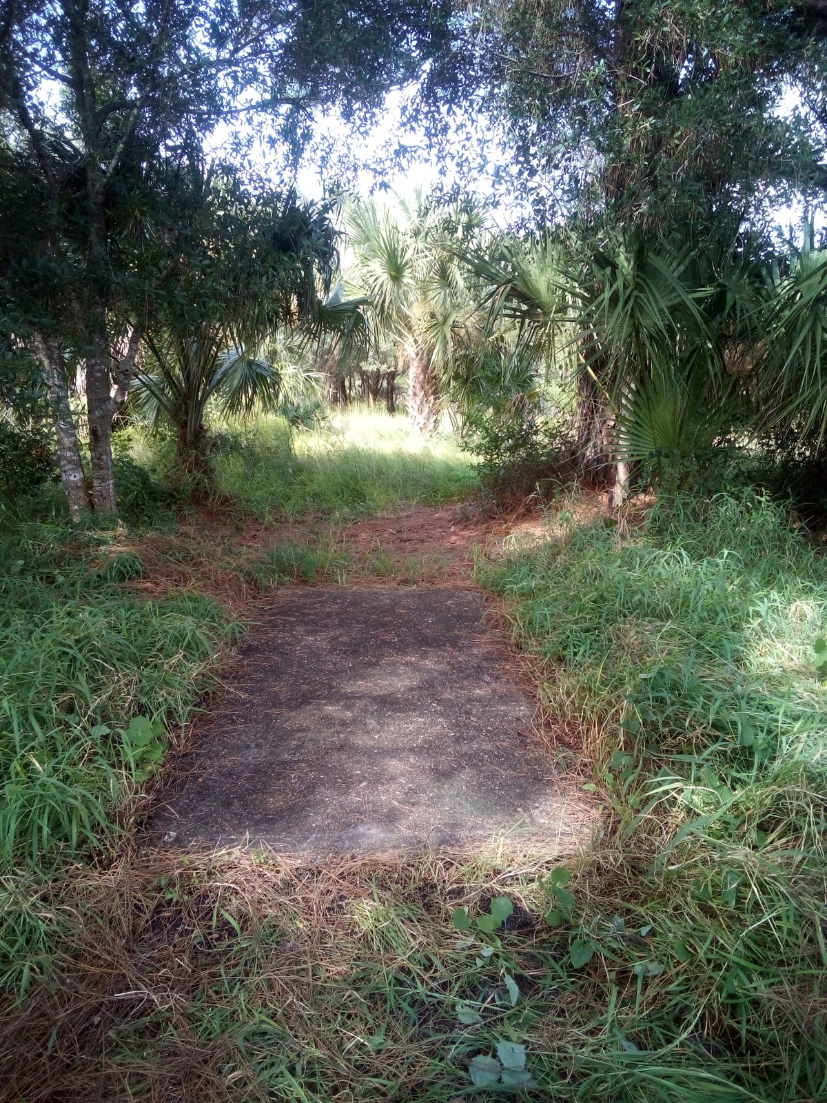 Long tee pad #11 after