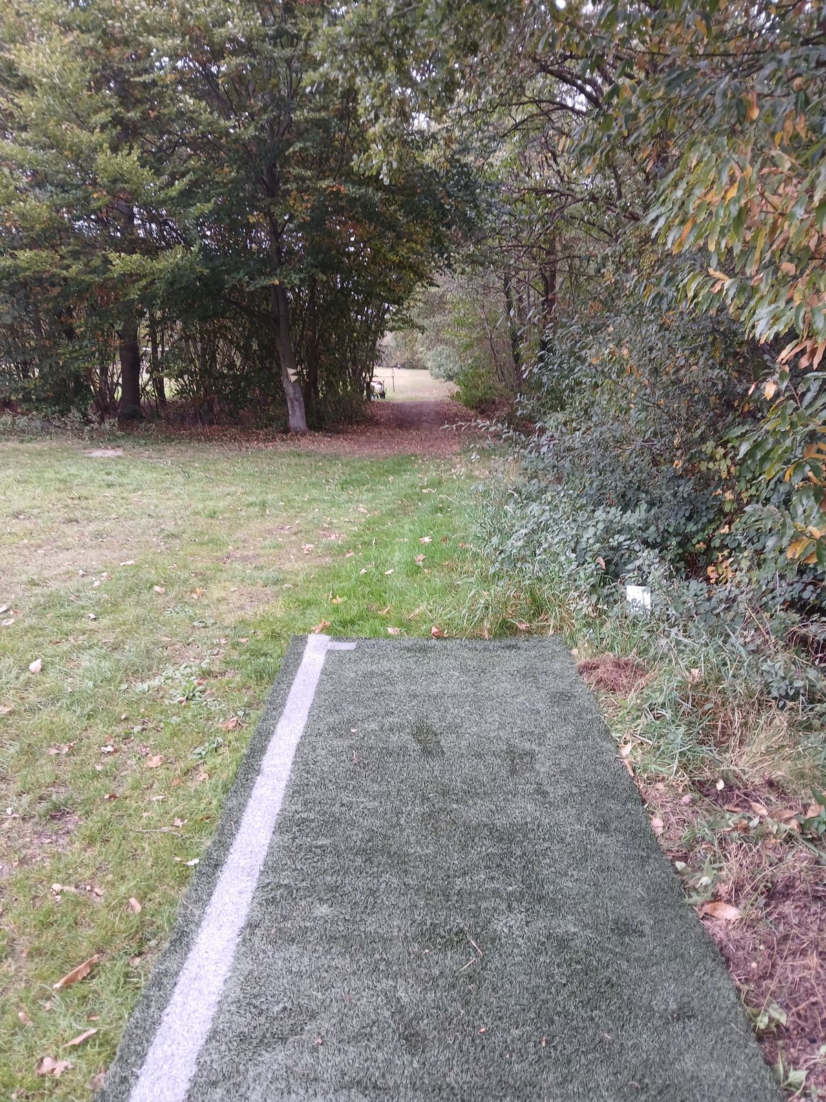 Teepad and Mando hole #12