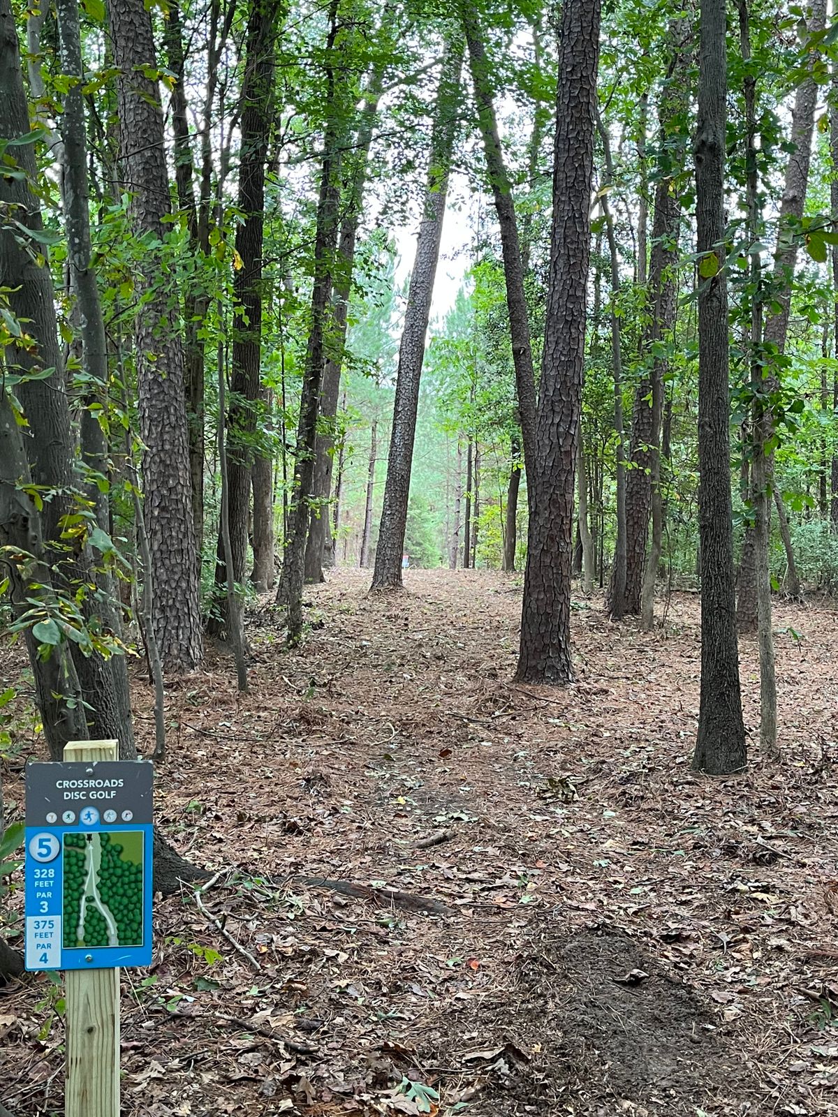 Hole 5