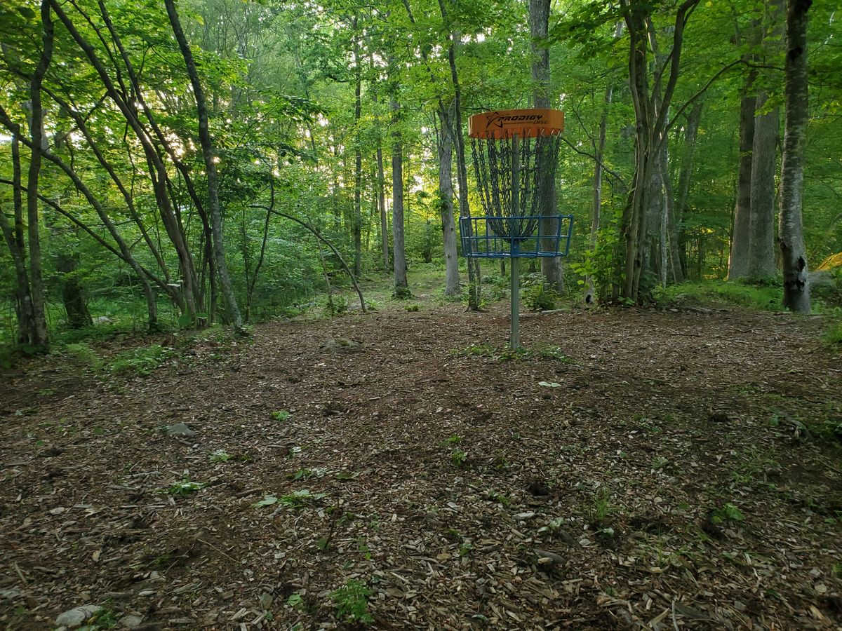 Hole 5 green