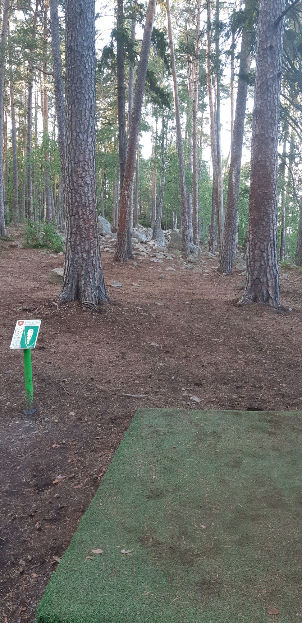 Hole 1