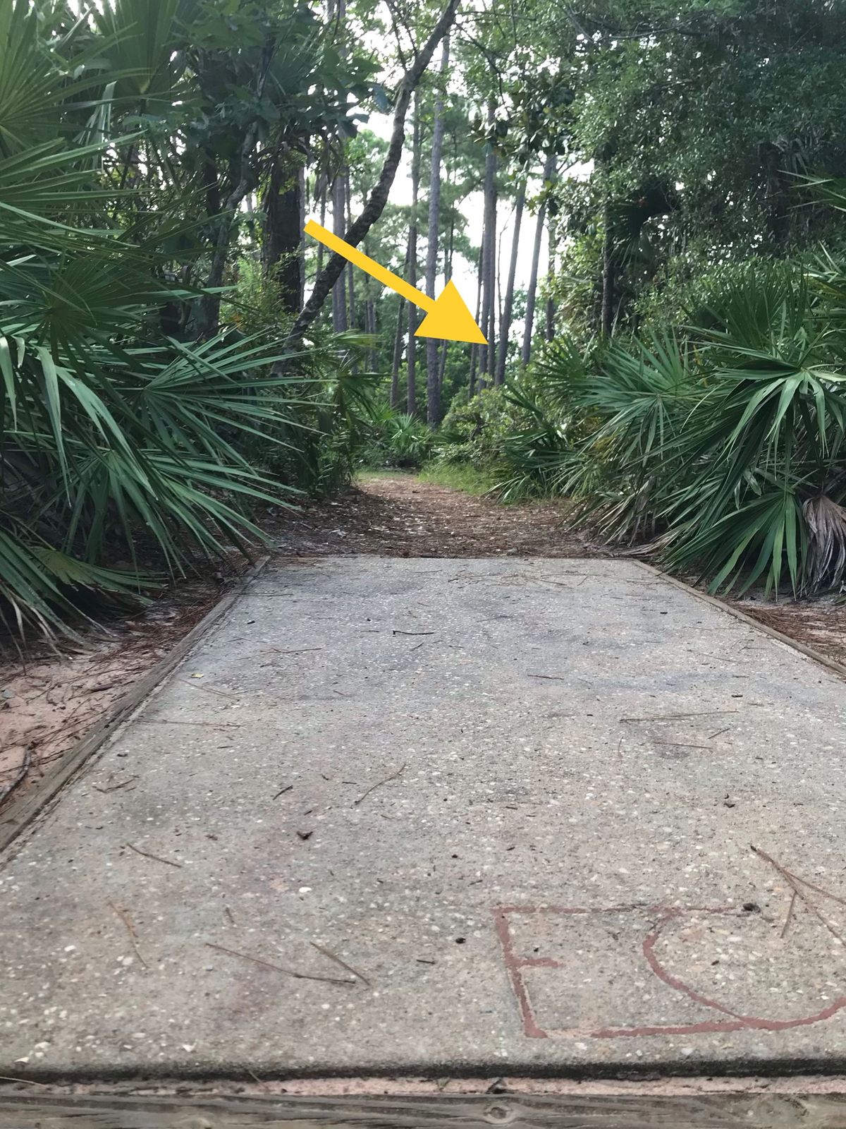 Amateur tee, 6th hole