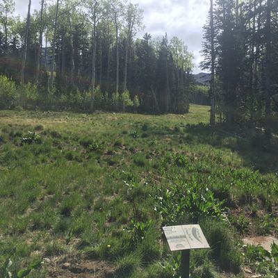 Hole 1 tee