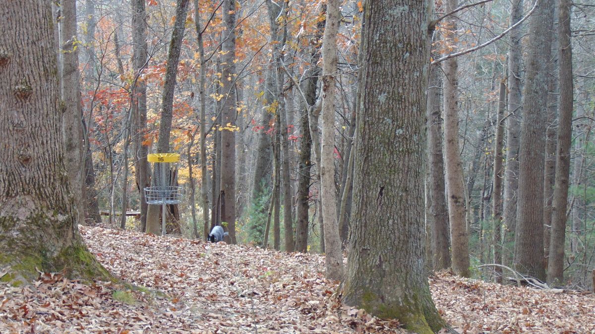 Hole 16
