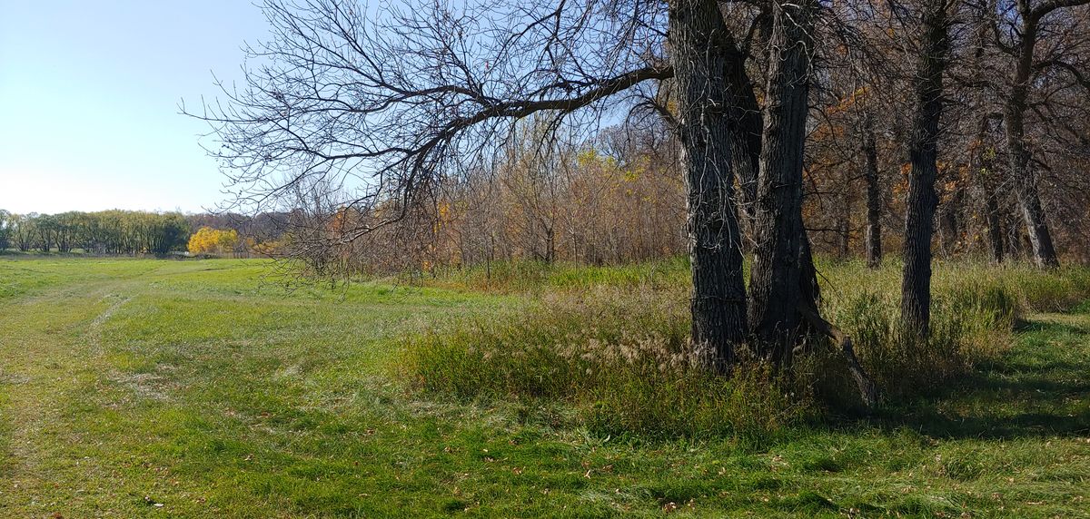 Sixth "approach" (still a ways to go...). Pin in the distance, left of the yellow tree.