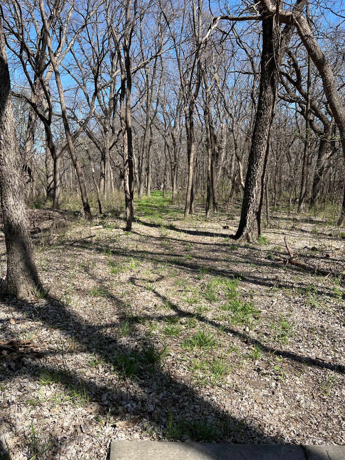 Hole 14